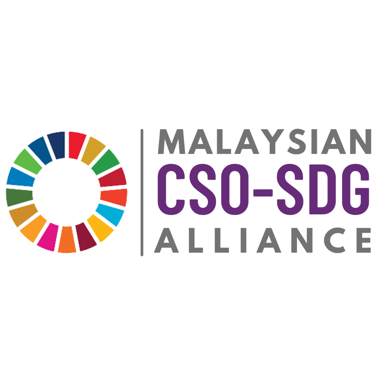 CSO-SDG